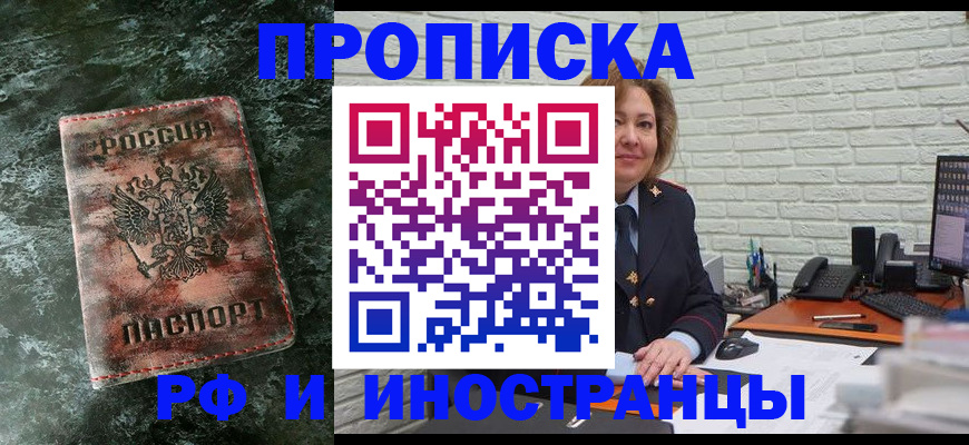 временная регистрация поиск в Щёлково